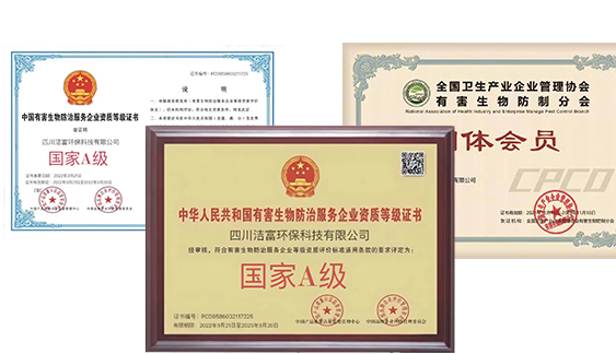 10多年行业精研