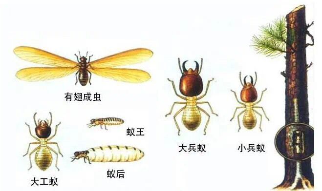 QQ图片20220417224243.jpg